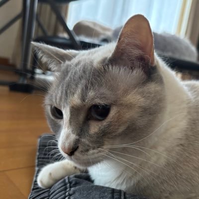 ken_okazaki_'s profile picture. 附設高校演劇部　顧問