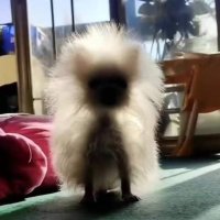 수키진 (@sukyzinsoo) 's Twitter Profile Photo 수키진 (@sukyzinsoo) 's Twitter Profile Photo