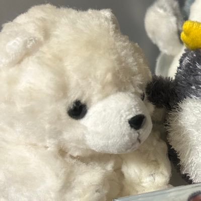 okomeha_'s profile picture. 日々のトレンド・新商品を追うのが好きです✨情報キャッチして発信📣ポイント付与終了の【ふるさと納税】高コスパ・還元率を探し中🌾🍖まだお米高いね😵Amazonアソシエイト参加中