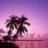 nzvoxbaui's profile image