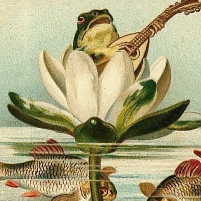Frogmorton Fellow π² Profile