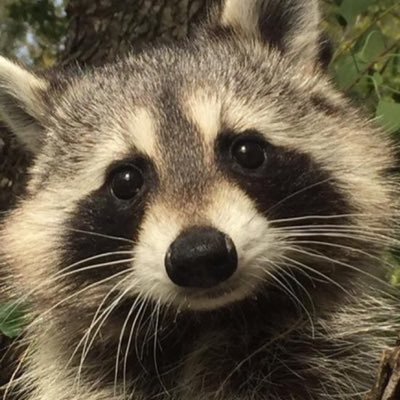 Sergeさんのプロフィール画像