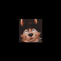 𝐊𝐞𝐯 (@str0ngd0g) 's Twitter Profile