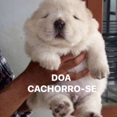 Apenas uma página de diálogos curtos | Riu de algum post? Então segue a página pra nos ajudar 🫂