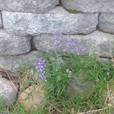 notaboomer5's profile picture. 