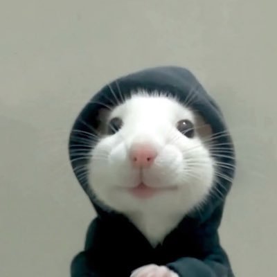 MANUSIADIAMLAH's profile picture. hidup ternyata capek ya