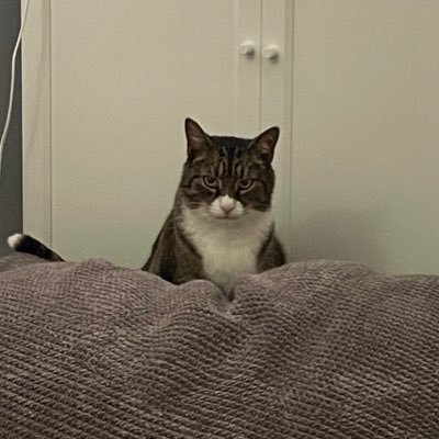 Proud Mum to two ADULT children 😬. LGBTQ+ ally. Pronouns she/her. Owner of 3 cats. Coffee snob.