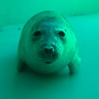 Baconator (@dubblebaconator) 's Twitter Profile