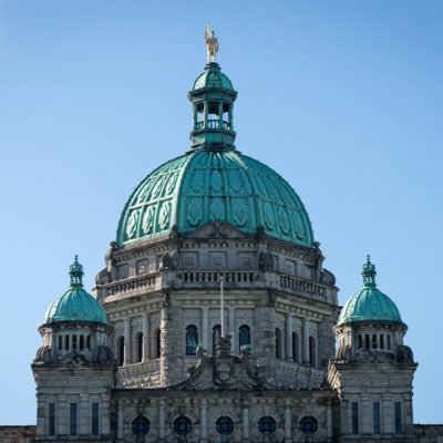 BCPoliNerd's profile picture. 