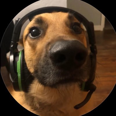 echrosX14's profile picture. 