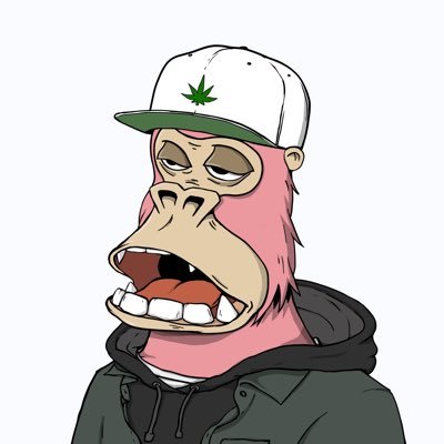 Di₳mondHODL Profile
