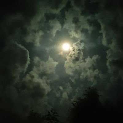 Fmes259645Fmes's profile picture. ชายแท้ครับ ขี้เงี่ยน🥺