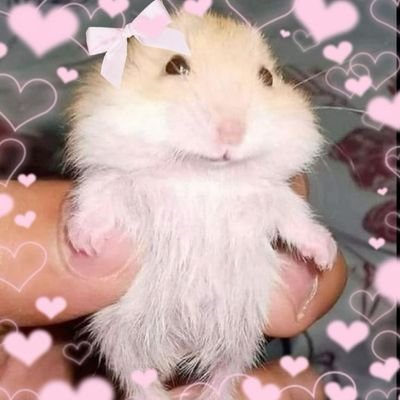 pistacheriie's profile picture. @jennn_creates but make it spicy ⁉️
oc/fanart | minors DNI