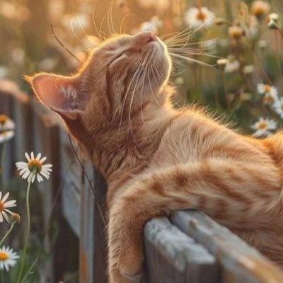 what ever you do don’t forget to pray and stop judging people based on what you think they are…….it makes you more of a sinner than you think you already are ❤️