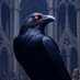 Corvuus Corone (@corvuuscorone) Twitter profile photo Corvuus Corone (@corvuuscorone) Twitter profile photo