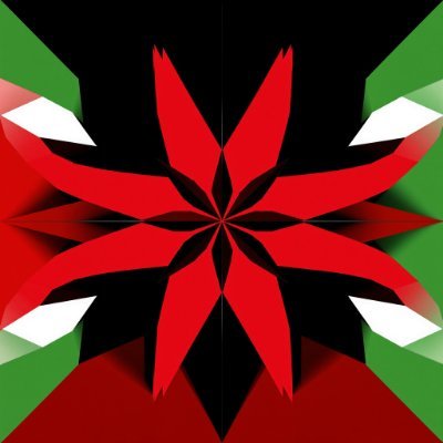 OrdoniyyaJ's profile picture. 🇯🇴🐾