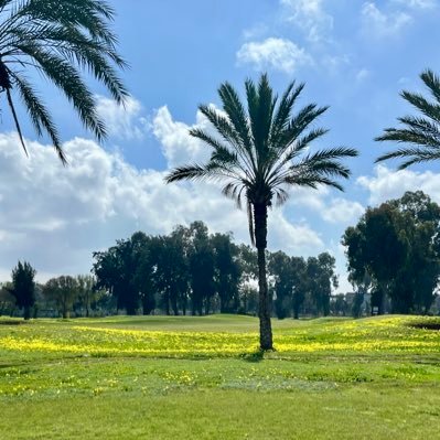 Yazz_Z's profile picture. La stratégie c'est l'art de faire face à son destin.