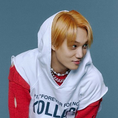 exovelvet enthusiast living off of smtown crumbs
{part-time enjoyer of ateez, sf9, bp, ikon, etc}