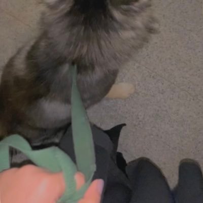 sarahabdultif's profile picture. عِش عفويتك تاركًا للناس إثم الظنون .