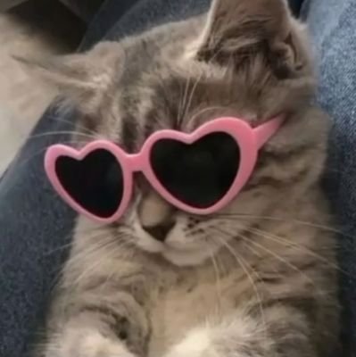 falis21768734's profile picture. 