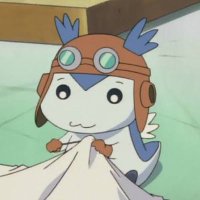 NNゴリラ (@hex_calamity) 's Twitter Profile
