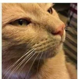 ReyLDR2025's profile picture. 