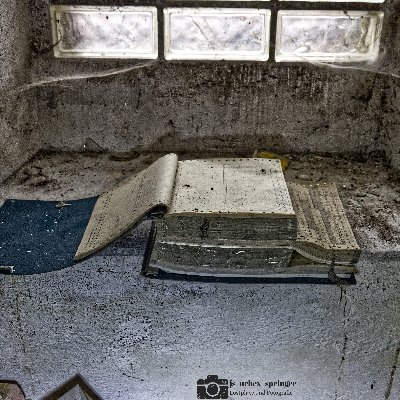 urbex_springer's profile picture. 