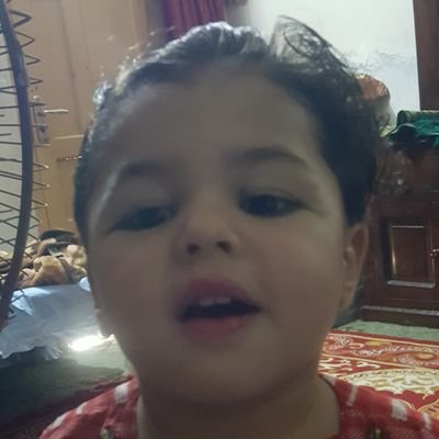 haseebheme's profile picture. Islamist | Proud Pakistani |