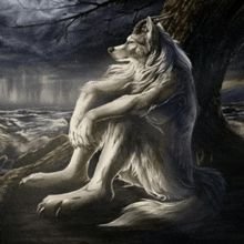 superman77908's profile picture. Health is wealth