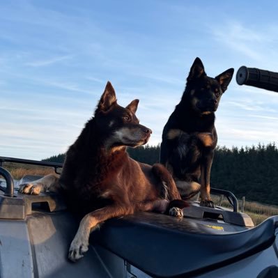 JacPennant's profile picture. 🏴󠁧󠁢󠁷󠁬󠁳󠁿