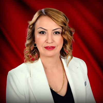 CHP Hatay 28. Dönem Milletvekili / TBMM Katip Üyesi / İskenderun Çevre Koruma Derneği Başkanı / Mali Müşavir