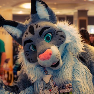 Tundra π AFC Profile