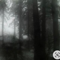 حلا (@halaa96_) 's Twitter Profile