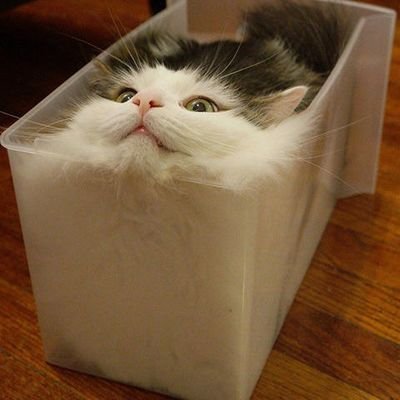 モトコンポでコスプレソロツーリング。
よほど気になるアカウント以外は基本的にこちらからフォローしません。
フォローしてくれたらスパムとかアカウント収集系でなければ気がついた時にフォローバックします。