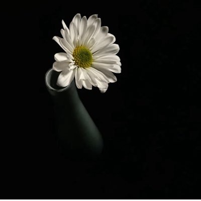 Angeles072010's profile picture. 