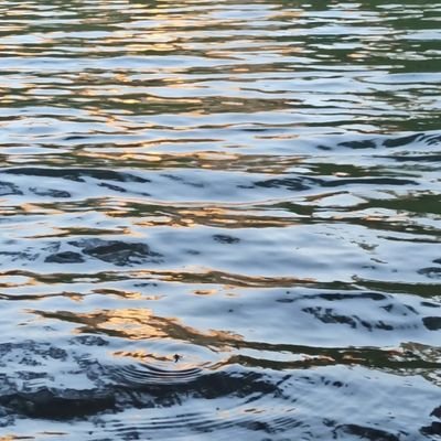 wexx278443's profile picture. 