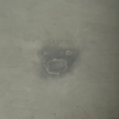 Crystal Jobliさんのプロフィール画像