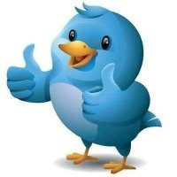 ..🐥 (@gfksh10) 's Twitter Profile