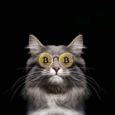 hyggeXfernweh's profile picture. $AMBA $QS $WYFI