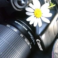 شهد الريفي (@shahad46l3) Twitter profile photo