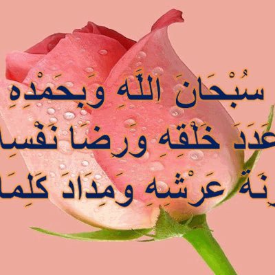 Saaxx116's profile picture. 