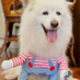 Ella (@bruensherw80860) Twitter profile photo Ella (@bruensherw80860) Twitter profile photo