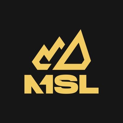 Associação que une as maiores orgs de Free Fire para fortalecer, representar e desenvolver o cenário competitivo. Juntos pelo futuro do eSports. #GOMSL 🚀
