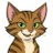 TIGRA - Vitalik Buterin's Cat avatar