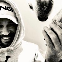 David (@david779332934) 's Twitter Profile