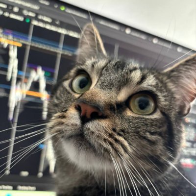 He has many years of practical investment experience, covering stocks, options, foreign exchange, Bitcoin and other fields.