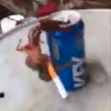 Ary21231's profile picture. probably the corniest lady ever.