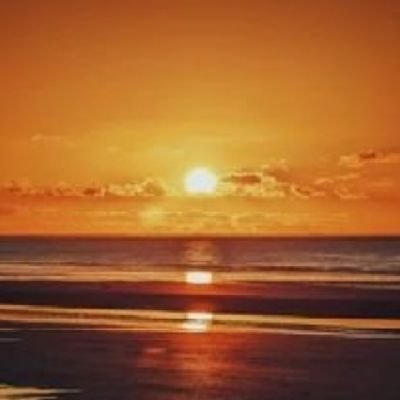 maestredani1's profile picture. 