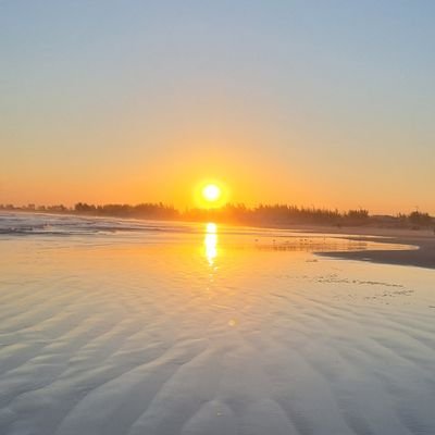 fedorigoni's profile picture. 