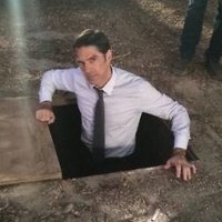 Heehaw (@heehawx3) 's Twitter Profile